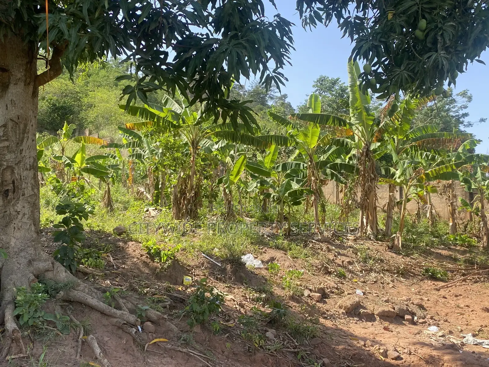 Prime Land for Development