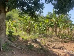 Prime Land for Development