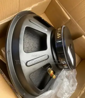 Gls G1590 15inches"  Naked Pa/Bass Speaker.