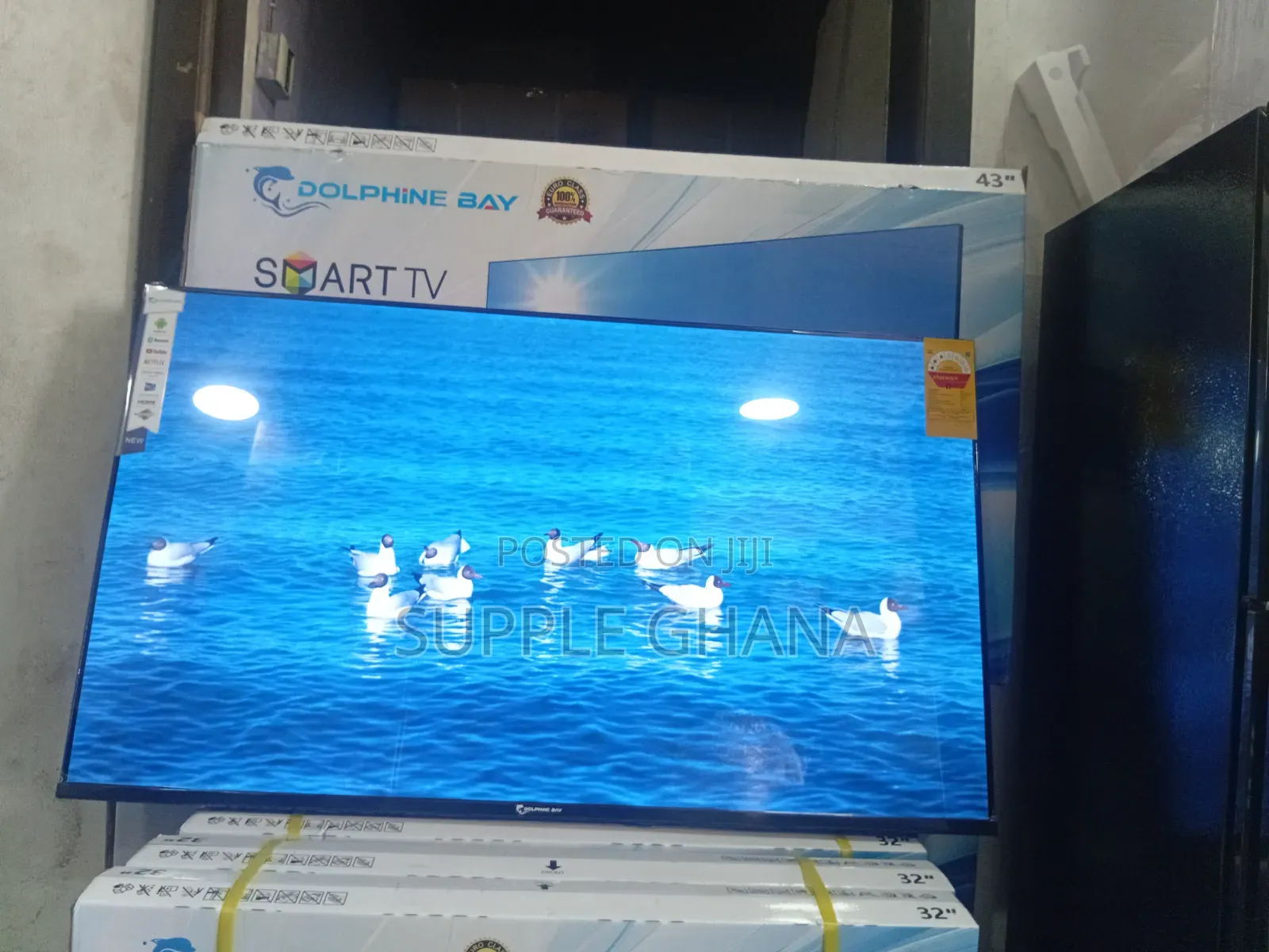 Pulsevision Dolphine Bay 43-Inch Smart Tv, Dolphine Bay