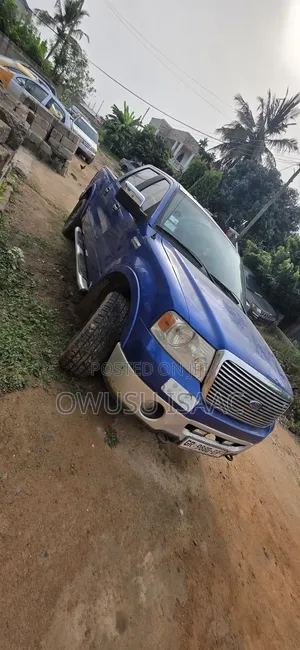 Ford F-150 2009 Blue