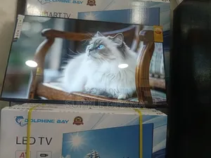 Dolphine Bay 43-Inch Smart Tv, Echovision Dolphine Bay 43-Inch Smart
