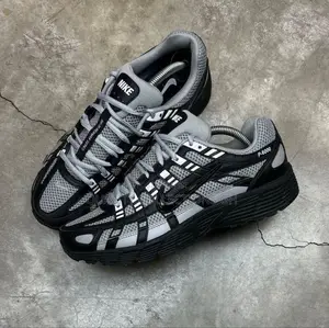 Nike P 6000