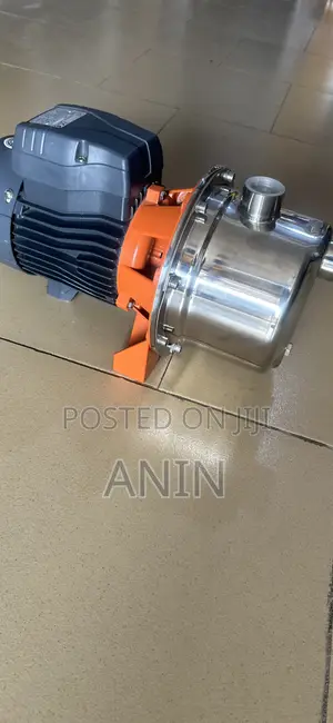 Leo Electric Water Pump
