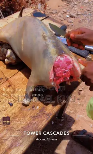 Full Male Goat Meat Freezed For Sale