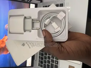 2 Pin iPhone Charger