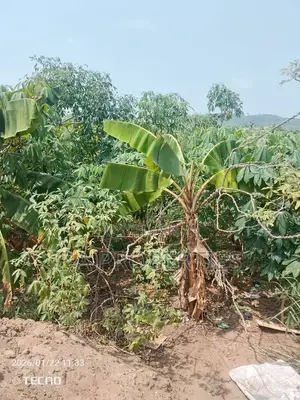 Land for Sale 6plots Oyibi