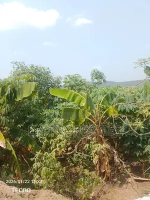 Land for Sale 6plots Oyibi