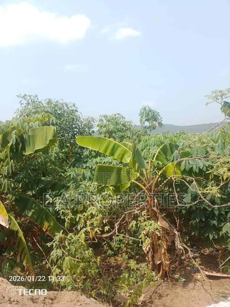 Land for Sale 6plots Oyibi