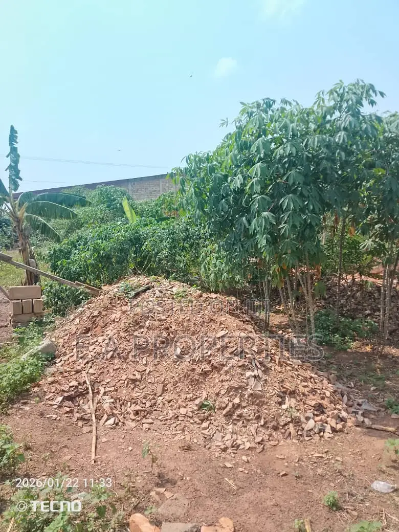 Land for Sale 6plots Oyibi