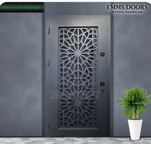 Door In Door Security Doors -single