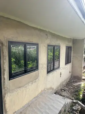 Aluminum Sliding Windows With Net and Locks