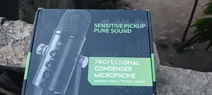 Professional Condenser Microphone
