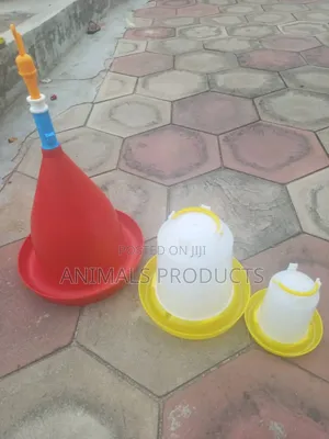 Poultry Drinkers and Feeders