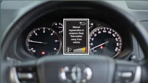 Adblue, Egr DPF Delete Service