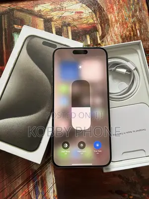 Apple iPhone 15 Pro Max 256 GB Silver