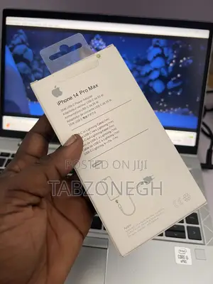 2 Pin iPhone Charger