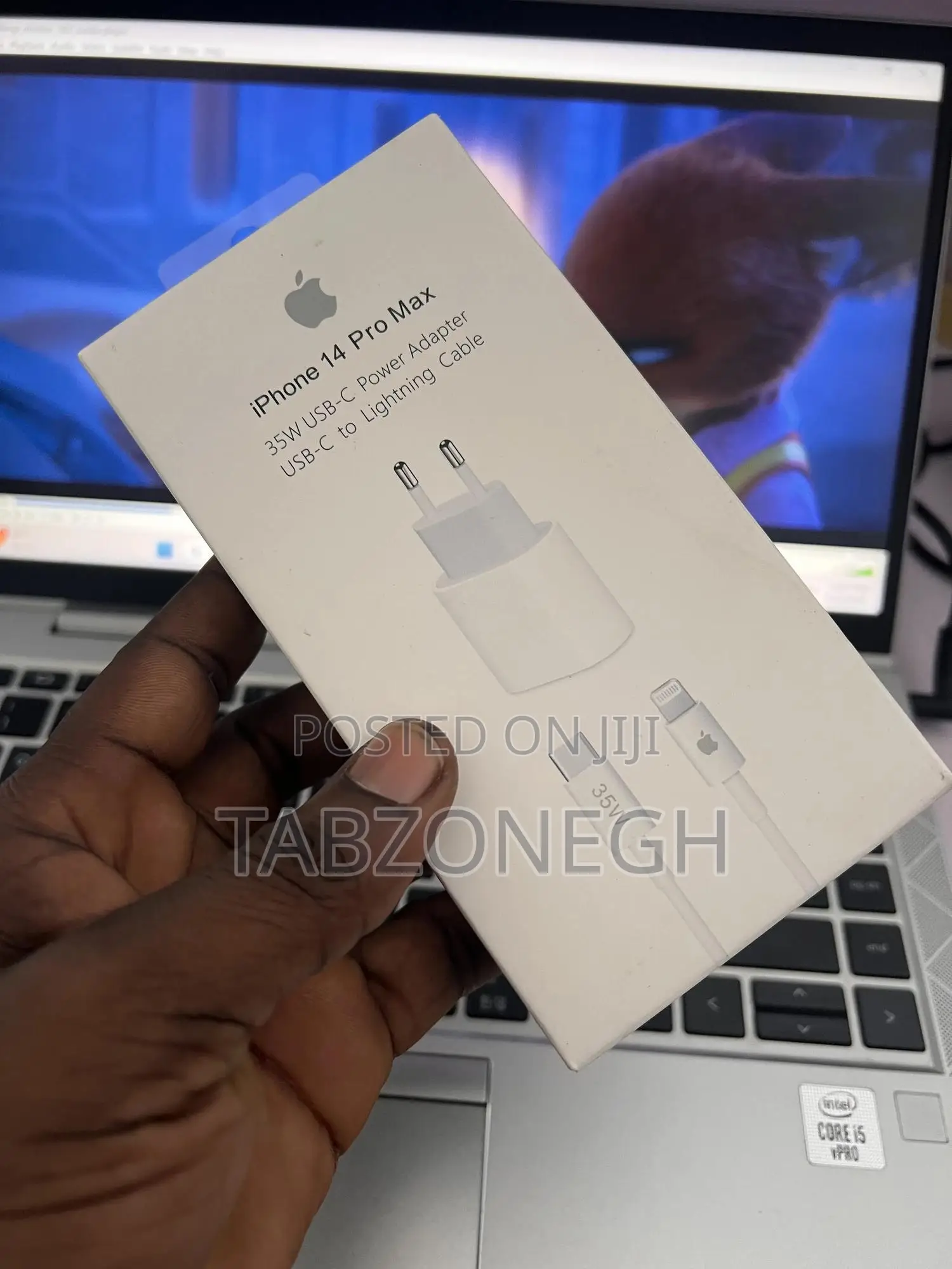 2 Pin iPhone Charger