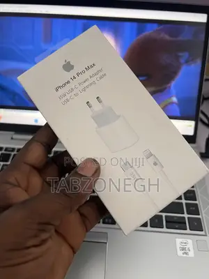 2 Pin iPhone Charger