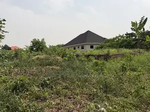 One Full Plot for Sale at Sokoban,Afracho.