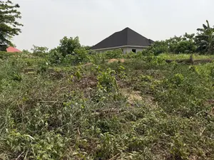 One Full Plot for Sale at Sokoban,Afracho.