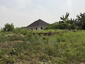 One Full Plot for Sale at Sokoban,Afracho.