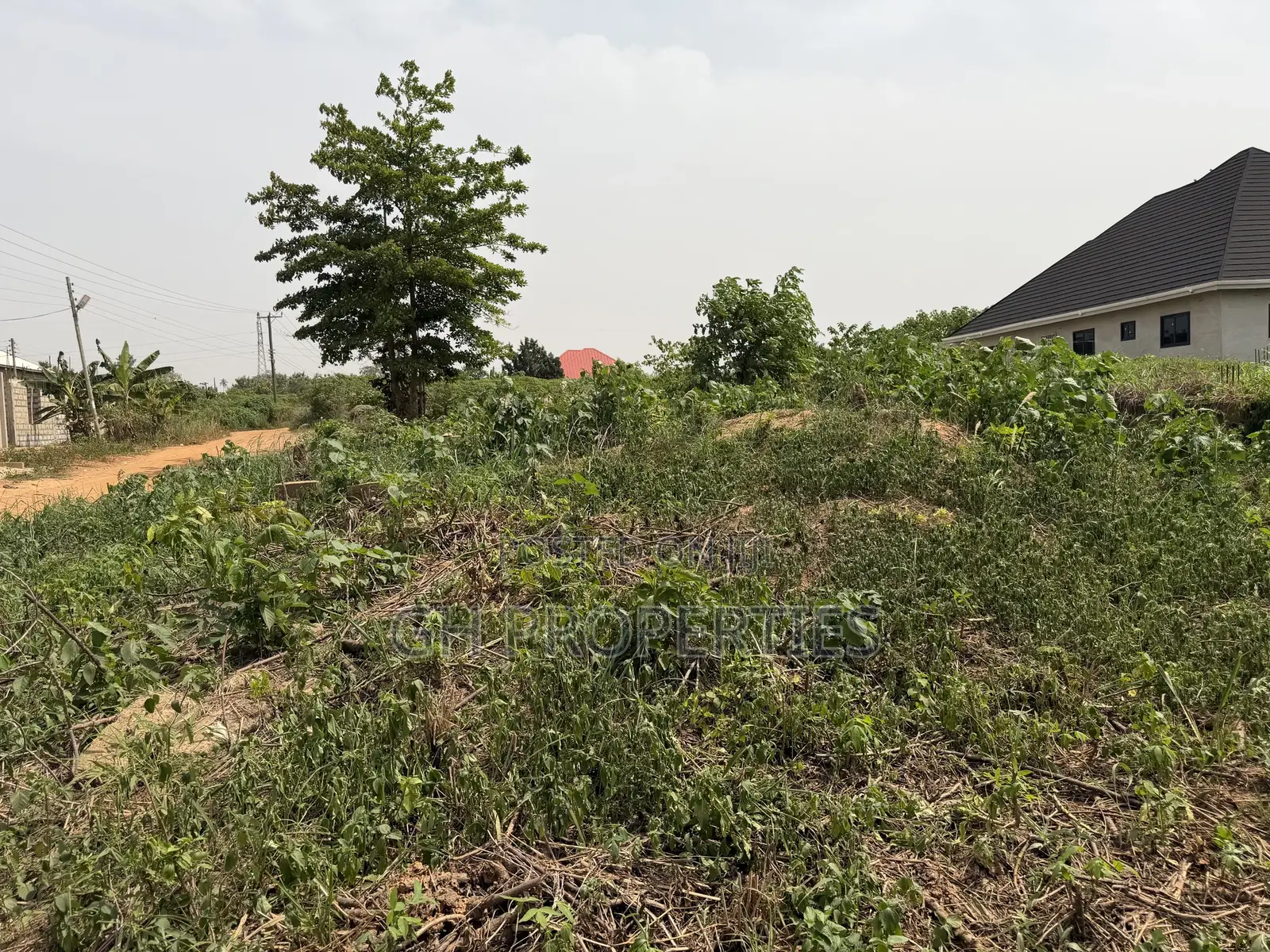 One Full Plot for Sale at Sokoban,Afracho.