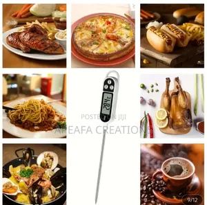 Digital Food Thermometer Probe