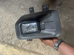 F150 Foglight And Cover Complete Lh