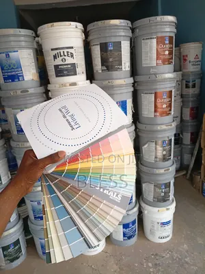 American Paint ( Shewin Williams and Benjamin Moore)