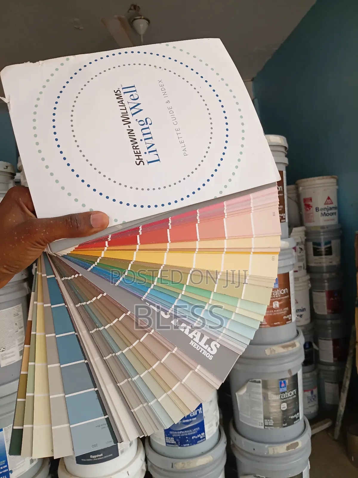 American Paint ( Shewin Williams and Benjamin Moore)