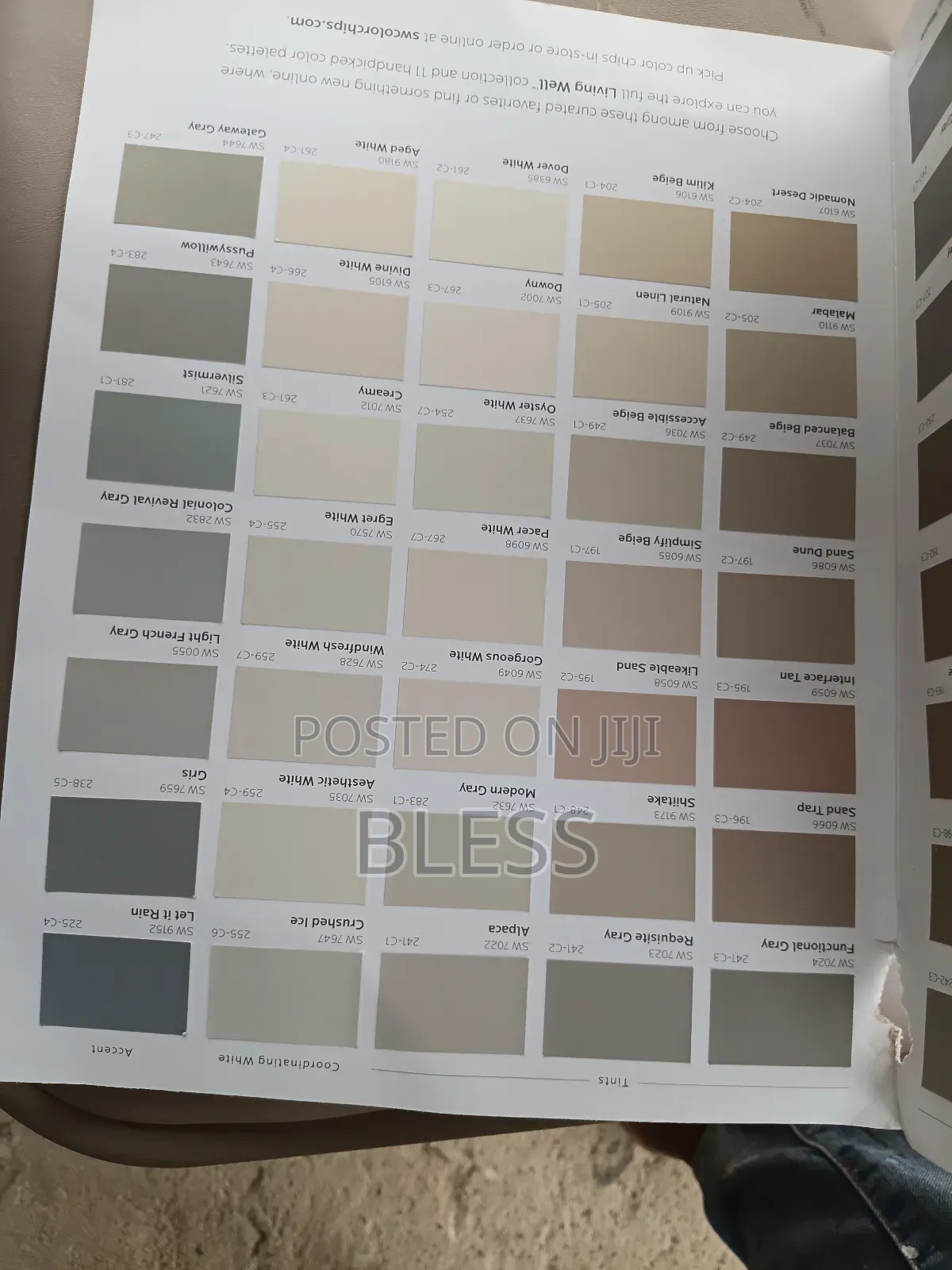 American Paint ( Shewin Williams and Benjamin Moore)