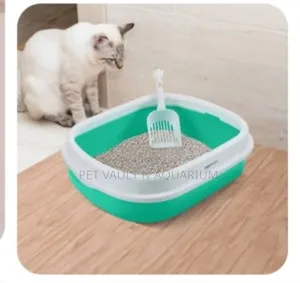 Small Cat Litter Box