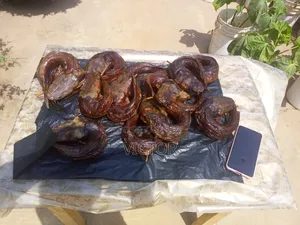 Smoked Catfish