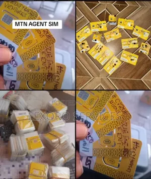 Momo Agent Sim for Mobile Money Business