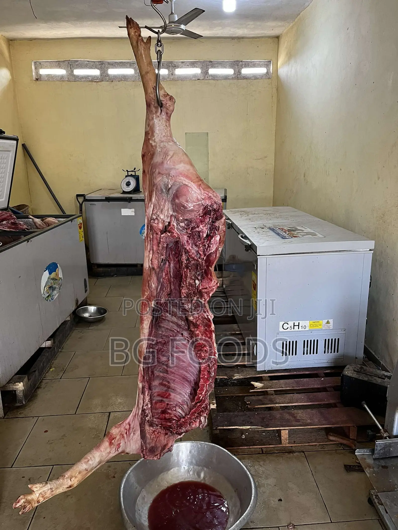 Sell Us All Your Carcass Pigs/Pork/Ribs. We Can Clear All Your Stock!