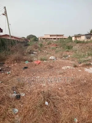 Tw Plots for Sale at Kpone Katamamso Close to Comm 26