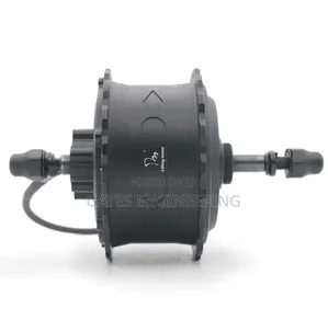 500w Hub Motor