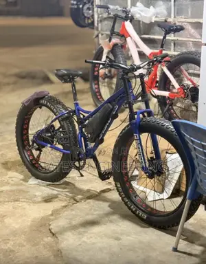 Ebike Conversion