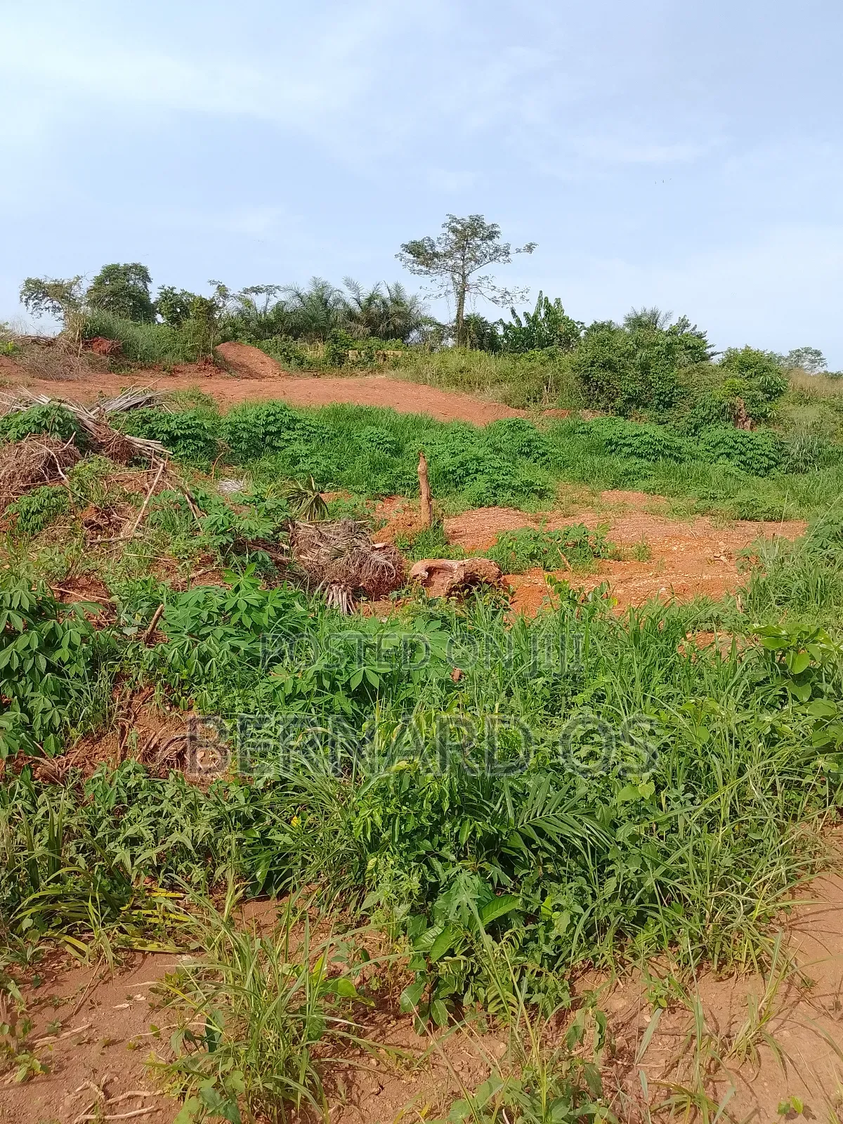 Plots and Lands