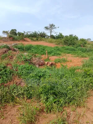Plots and Lands