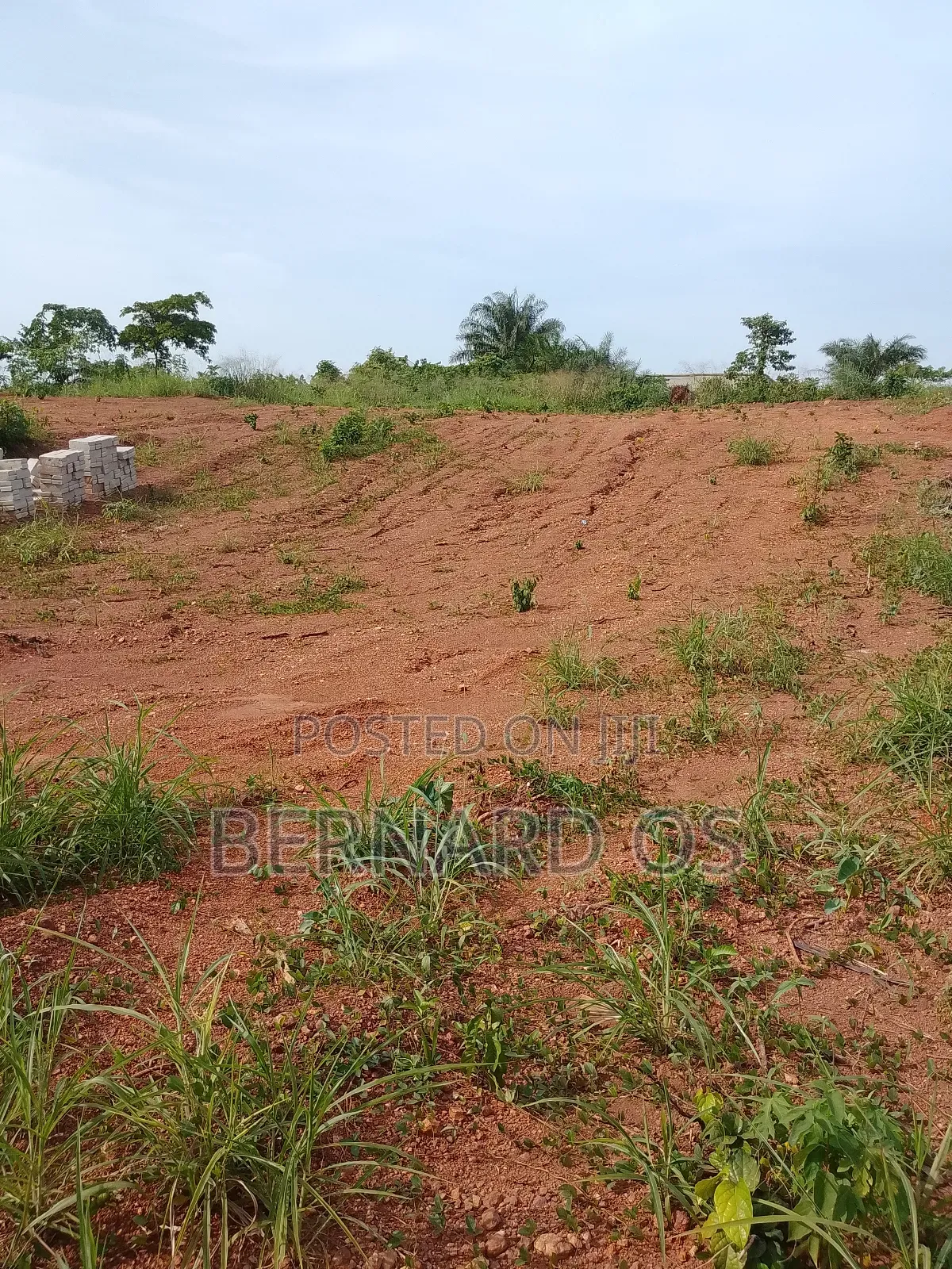 Plots and Lands