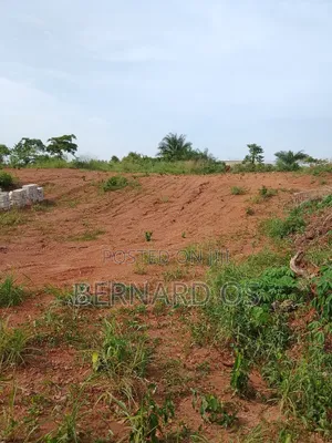 Plots and Lands