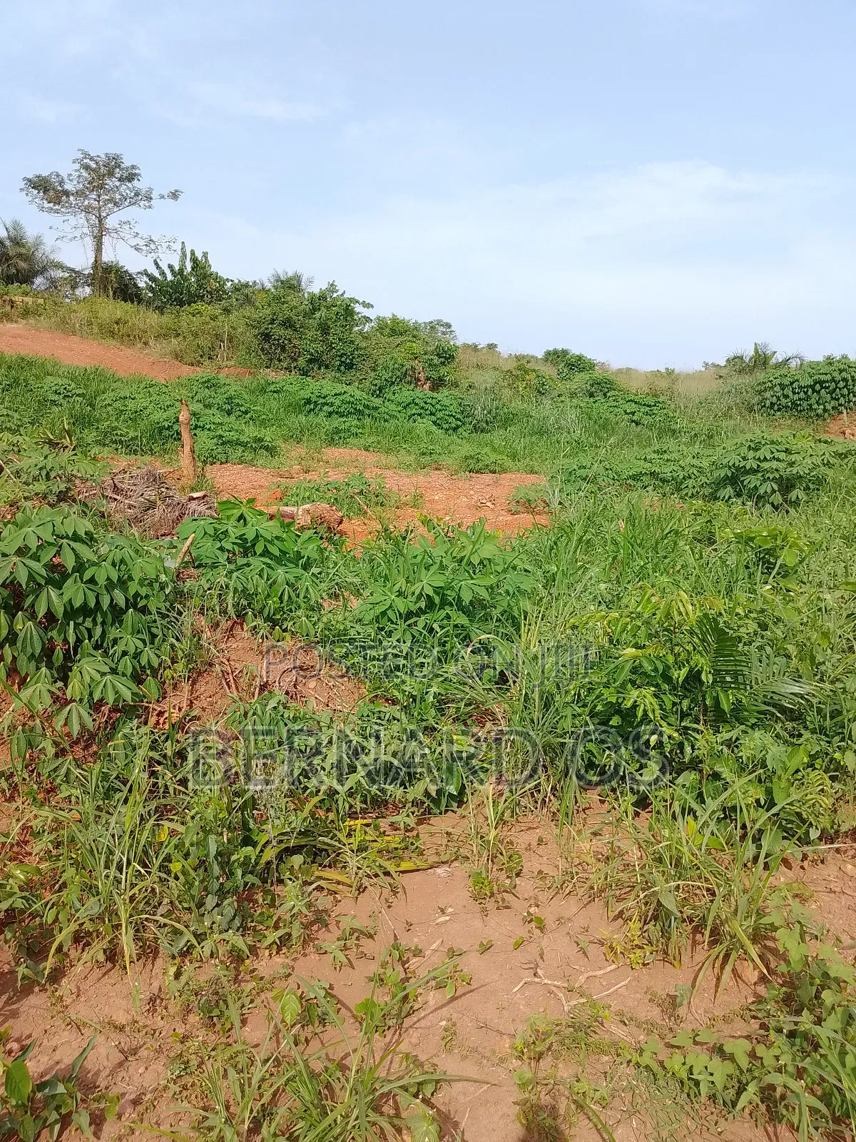 Plots and Lands