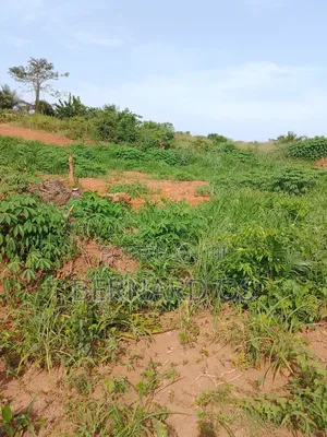 Plots and Lands
