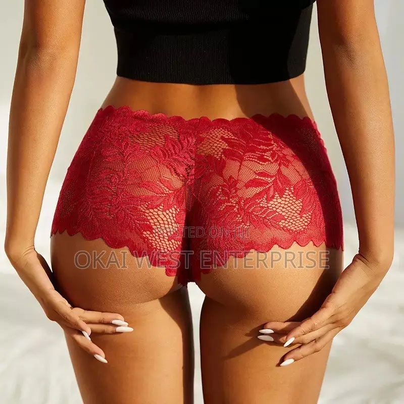 Elegant Mesh Lace Women's Mid-waist Briefs - Stylish Breathable Com