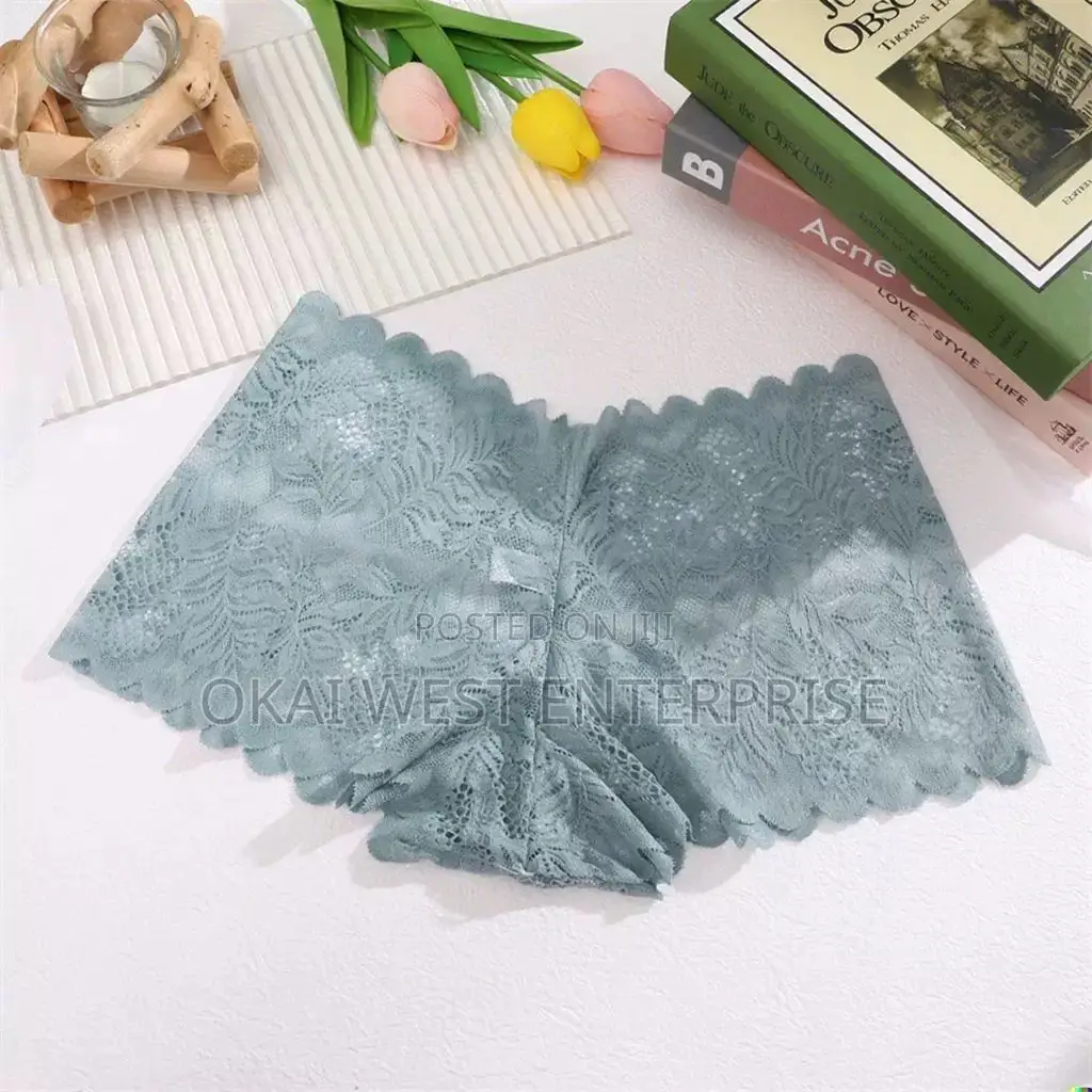 Elegant Mesh Lace Women's Mid-waist Briefs - Stylish Breathable Com