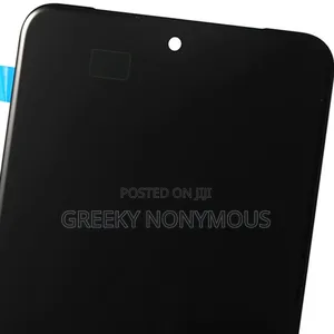 Google Pixel 8 Pro Oled Display
