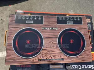 Double Burner Hot Plate
