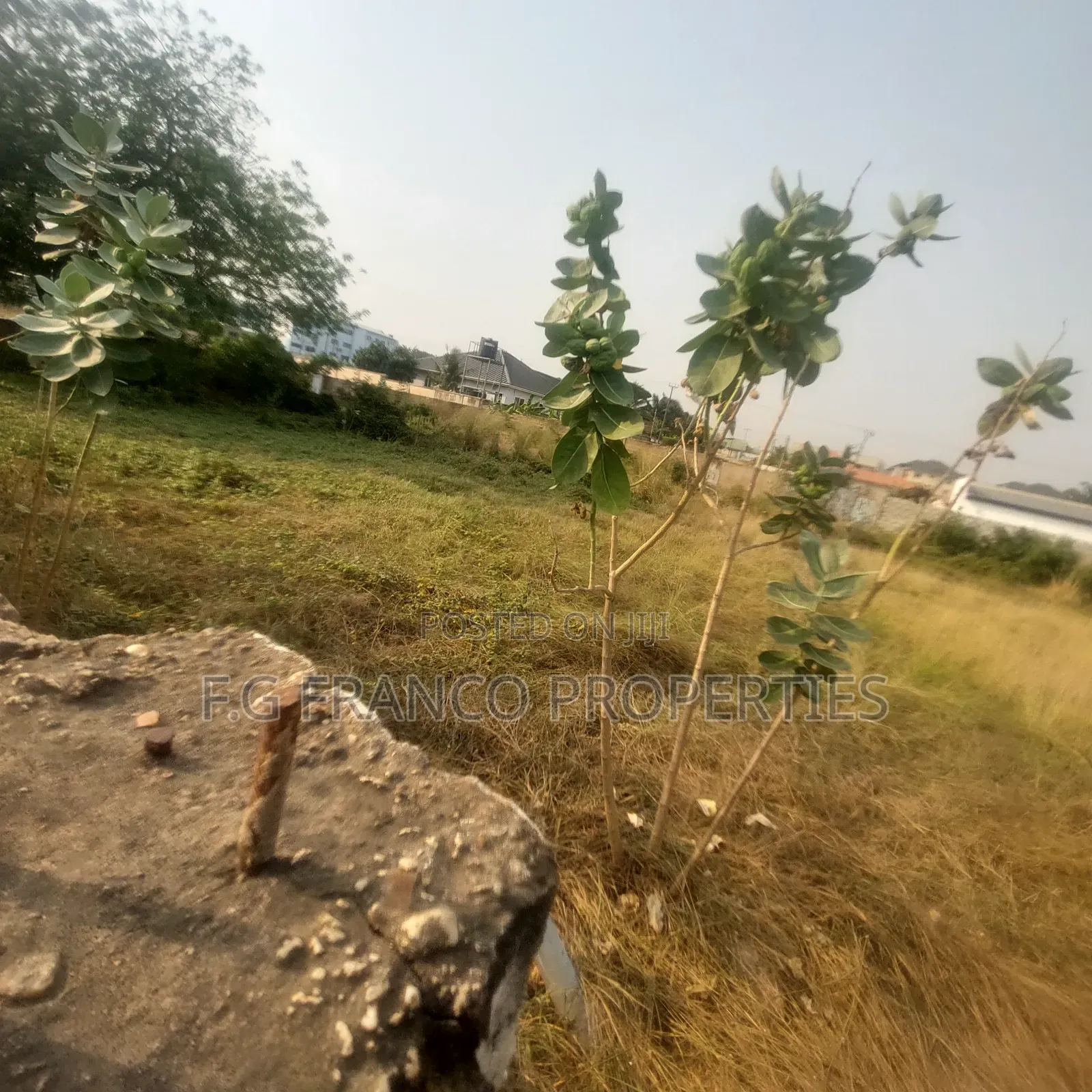 2 Plots of Land for Sale at East Airport